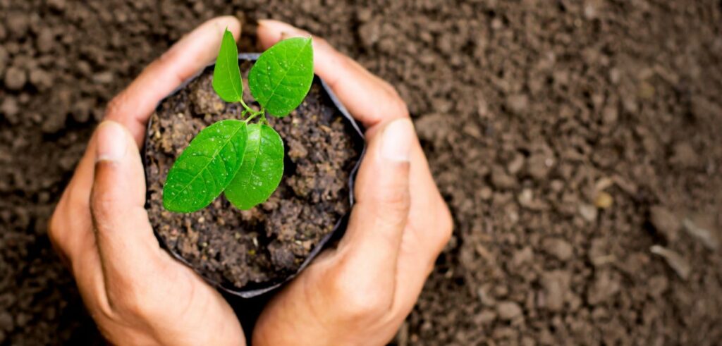 Marketing agency Garden Connect joins Haymarket Media Group and Green Solutions